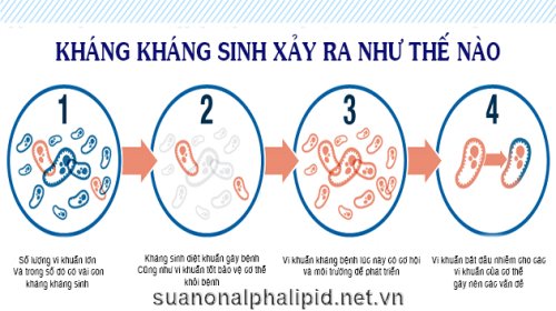 KHANG-KHANG-SINH-DIEN-RA-NHO-THE-NAO--1.jpg
